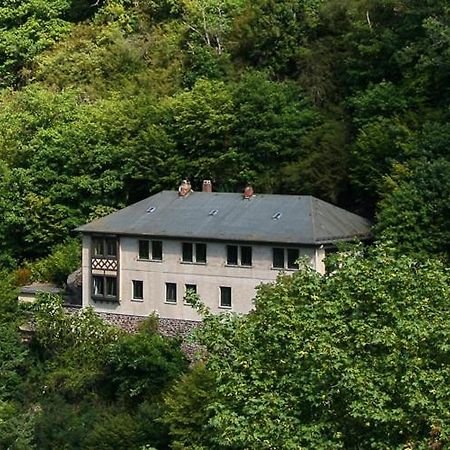 Haus Am Berg Villa Bad Bertrich Luaran gambar