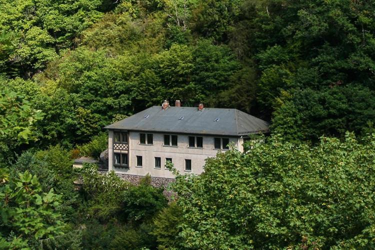 Haus Am Berg Villa Bad Bertrich Luaran gambar